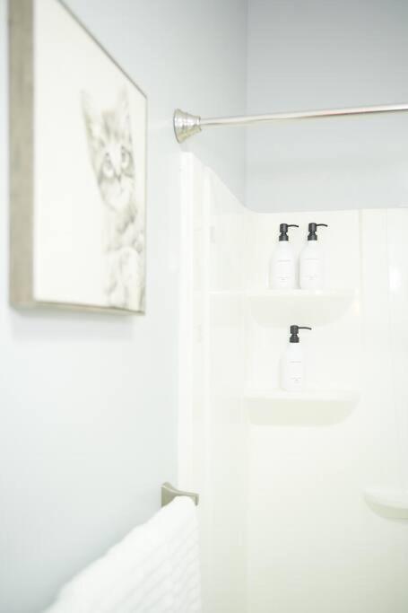 Cozy Apartment 2Nd 10Min Walk Downtown And City View Providence Exteriör bild